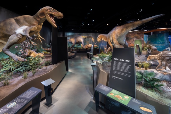 Now Open: New Jersey’s Fossil Park & Museum Offers a 66-Million-Year Journey into Prehisto - by New Jersey Division of Tourism